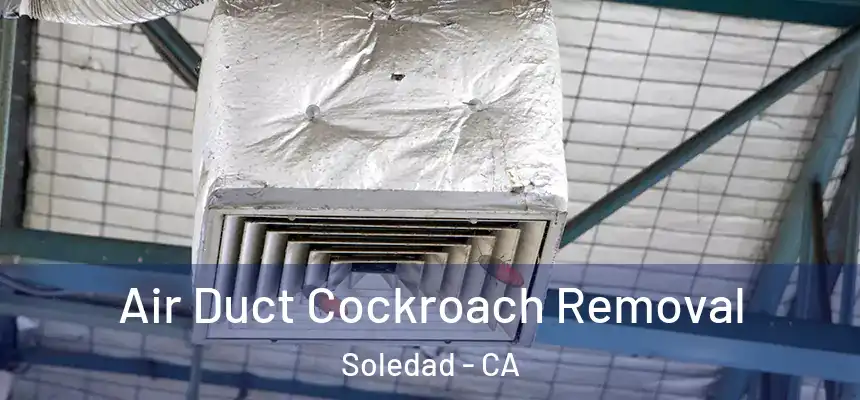 Air Duct Cockroach Removal Soledad - CA