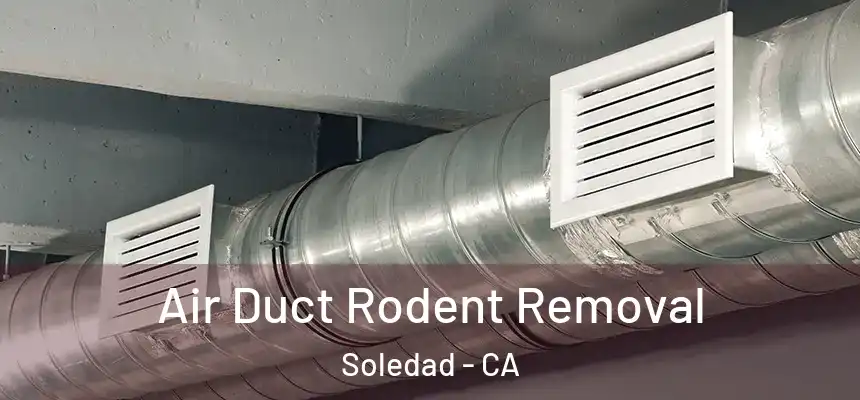 Air Duct Rodent Removal Soledad - CA