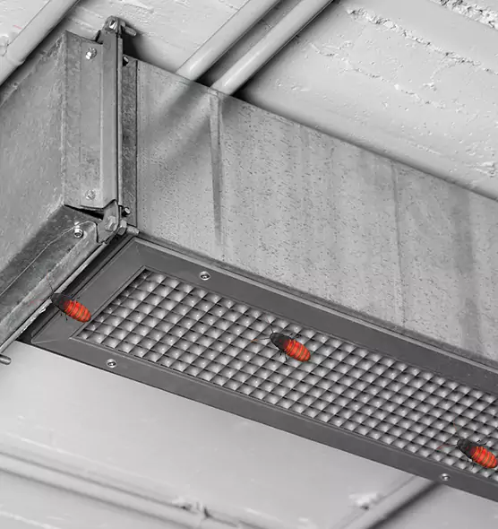 Affordable Insect Removal from Air Ducts in Soledad, CA