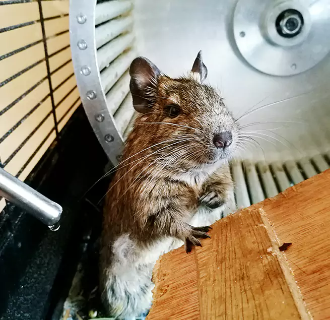 Why Homeowners & Businesses Trust Us Soledad, CA?