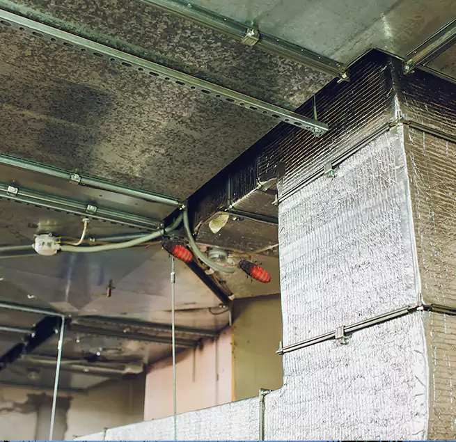 Why Homeowners & Businesses Trust Us Soledad, CA?